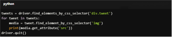 Selenium: Scrape media attachments from tweets
